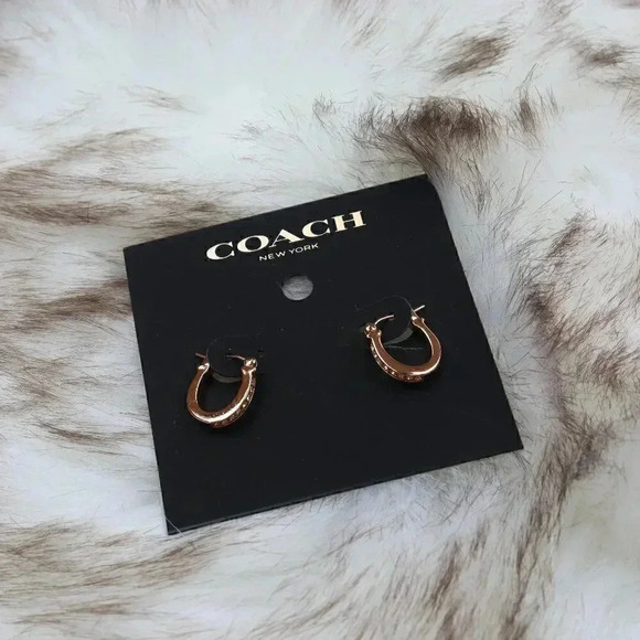 PAVE SIGNATURE HUGGIE EARRINGS (COACH F54497) - Picture 1 of 6